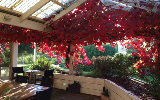Bellevue Bed & Breakfast McLaren Vale