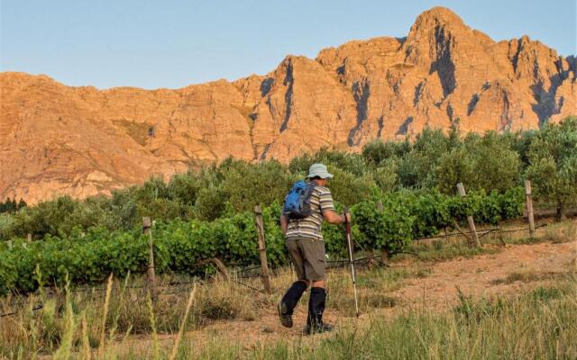 Vredehoek Guest Farm