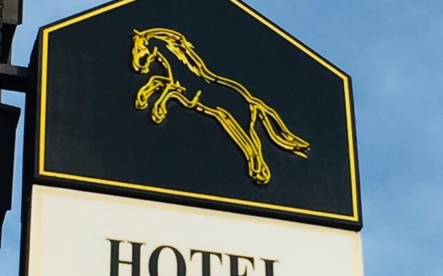 H&S Hotel Wildpferd