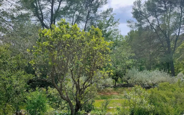 Villa Les Chariotins