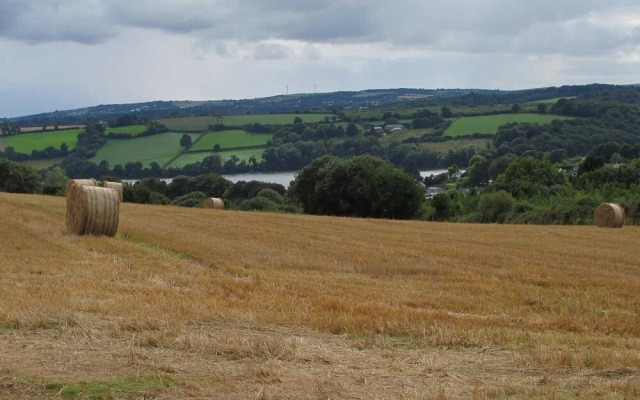 The Meadow