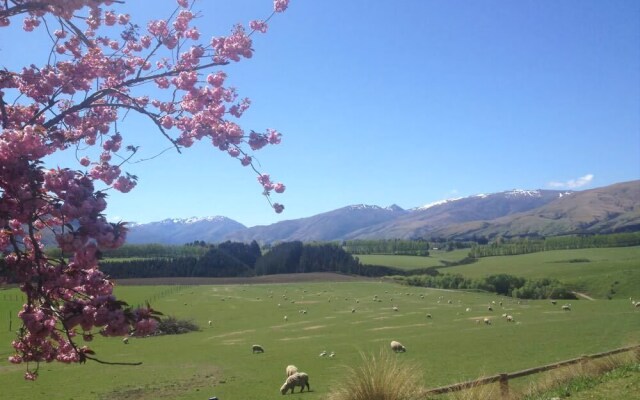 Southern Venues Farmstay B&B