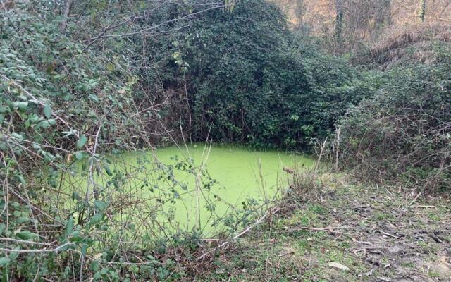 Le Casette in Collina