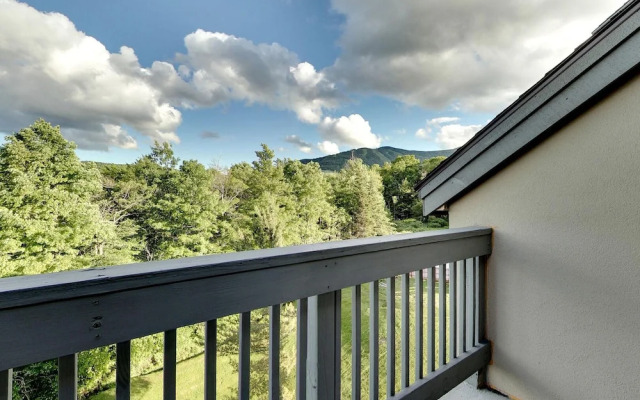 Mt Green 2-f04 in Killington