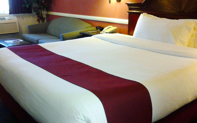 Dynasty Suites Hotel Riverside - фото 4