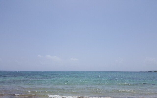 Ocho Rios Villa at Coolshade IX