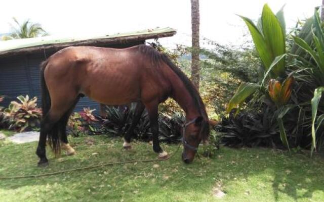 Hacienda Cocuyo