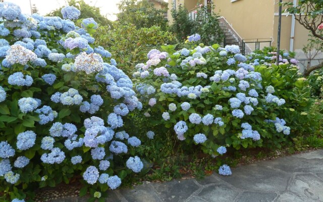 La Casa Delle Ortensie