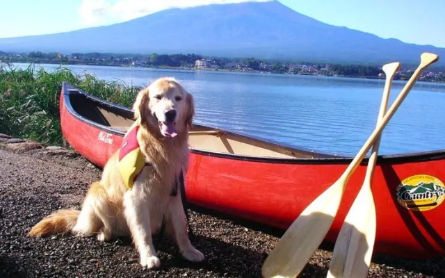 Wilderness Park Lodge – Entertainment – Fujikawaguchiko
