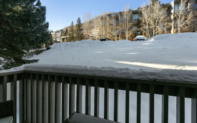 Snowlion Condos 208 2 Bedroom Condo