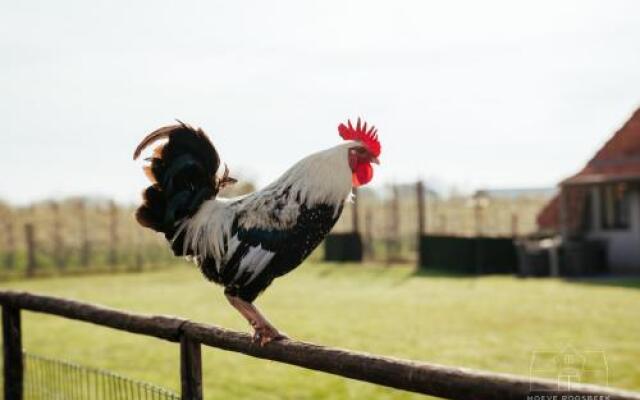 Hoeve Roosbeek