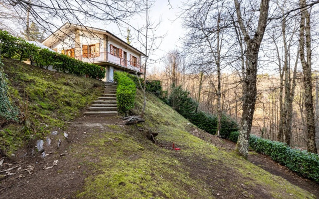 Comfortable Home Vittoria8 Among Greenery