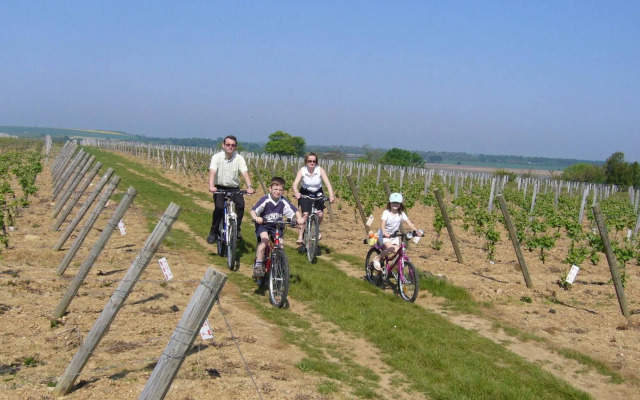 Chateau De La Sebrandière