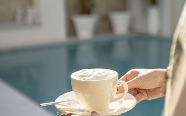 Voger Alacatı Koyici