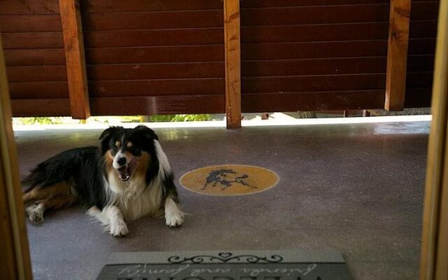 El Bronco Working Ranch