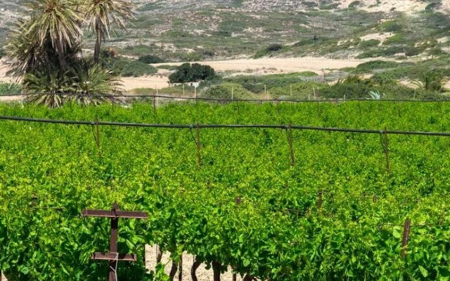 The Architect's Village House - Roof Terrace - AC - Wifi - SAT TV