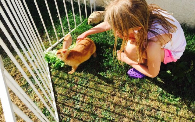 Child Friendly Gites Charente Maritime