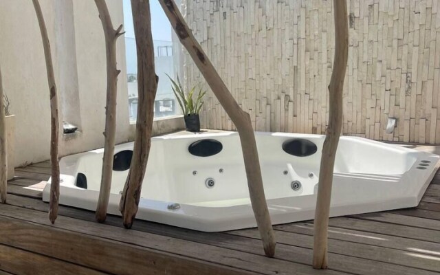 Endemic Inn Veracruz