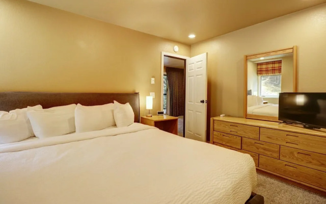 Amazing Ski-In Ski-Out Condo, Pet Friendly - Very Spacious - CM236 by RedAwning