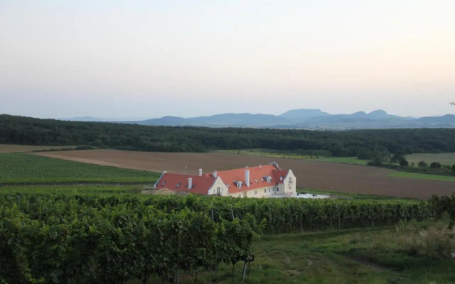 Liszkay Vineyard Estate