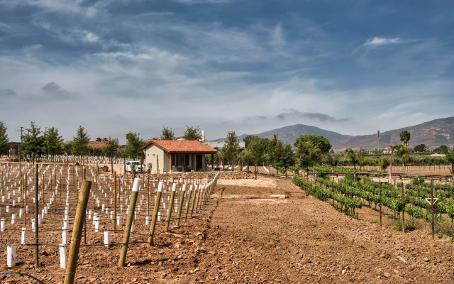 Villas en Los Retoños
