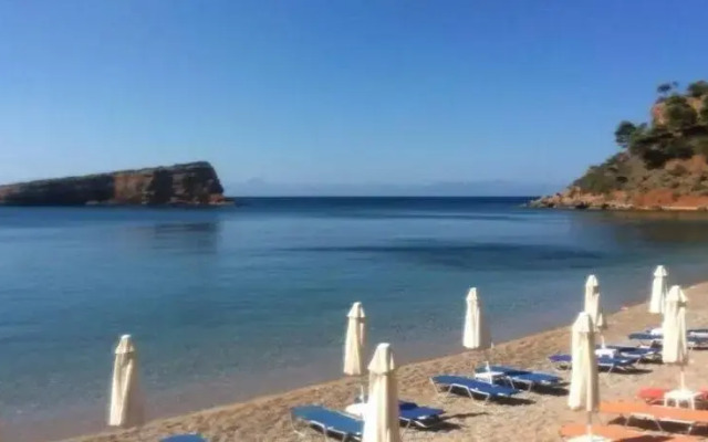 Dimitrios Gkioulis