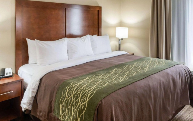 Comfort Inn & Suites West - Medical Center