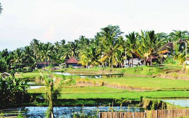 Ubud Sawah Homestay