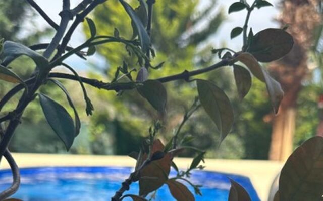 Rentavill Villaları