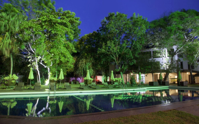 Palms, Mount Lavinia
