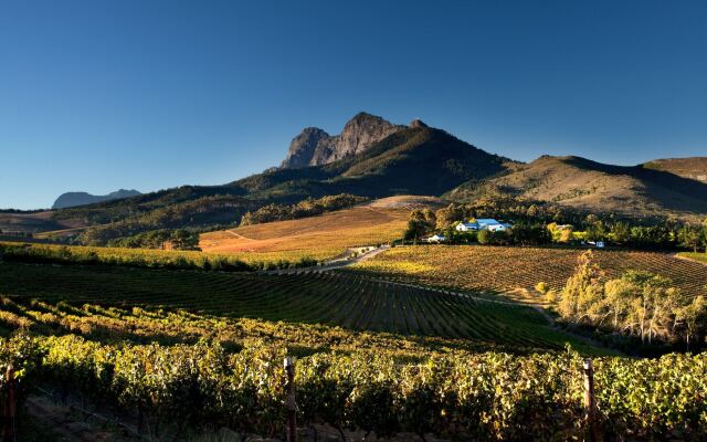 Marianne Wine Estate