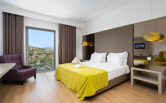 Delfim Douro Hotel
