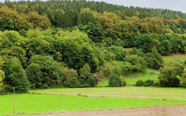 Luxurious Holiday Home in Hulsa Near Forest