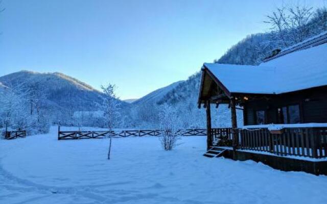 The Little Mountain Cabin