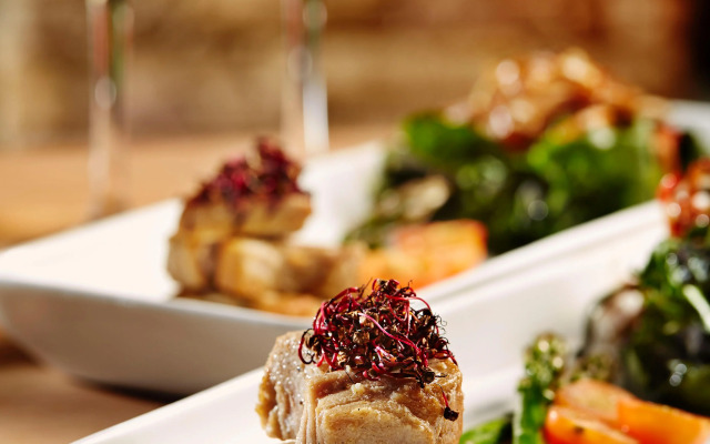 Hotel Waya Guajira By OxoHotel