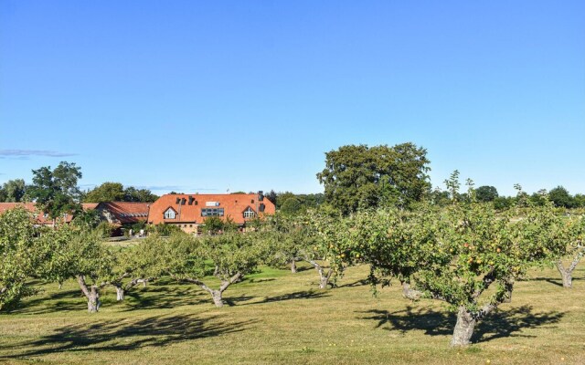Stunning Home in Simrishamn With Outdoor Swimming Pool, Wifi and 2 Bedrooms