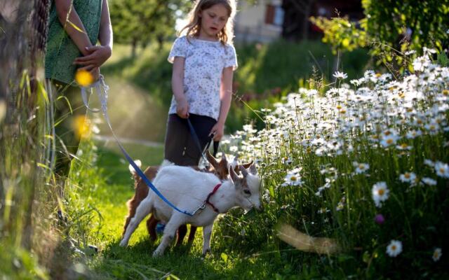 Gästehaus Biobauernhof Mandl