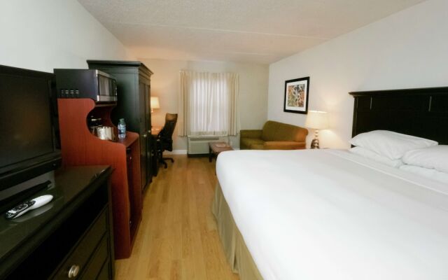 Indigo Buffalo - Amherst