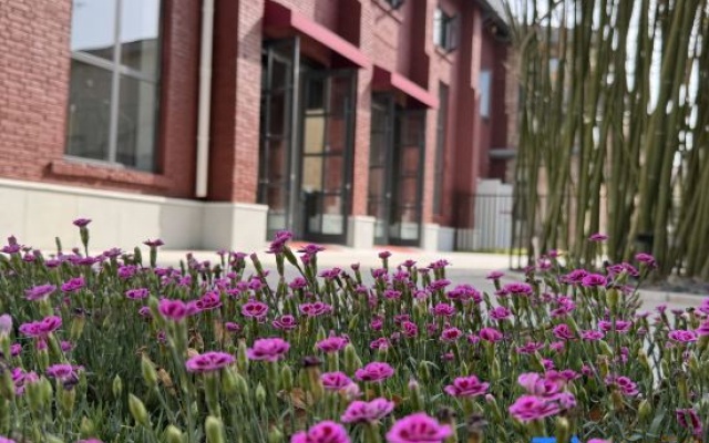 Luoyang Tangmenli Homestay (Luoyi Old Town Subway Station Shizi Street Night Market) – Exterior – Luoyang