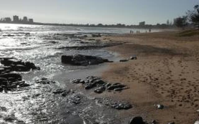 Studio Apartment Mooloolaba Beach Holiday Management