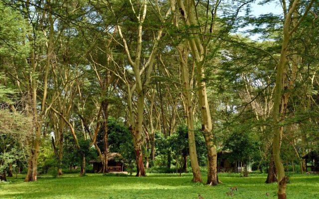 Migunga Tented Camp