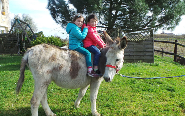Renovated Dovecot With Pool, in the Vineyards Near Bordeaux