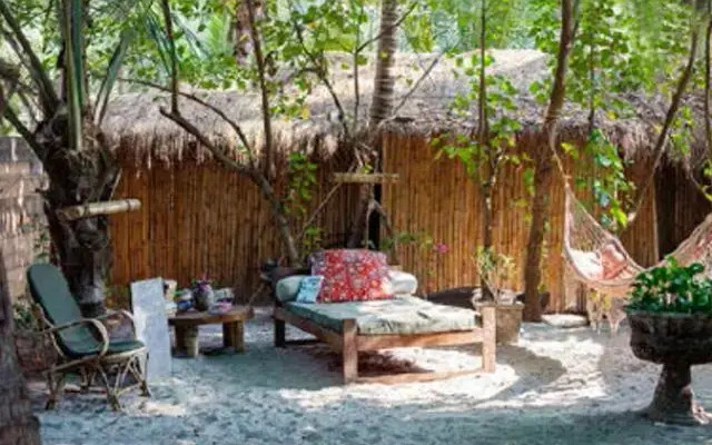 Little Palm Grove