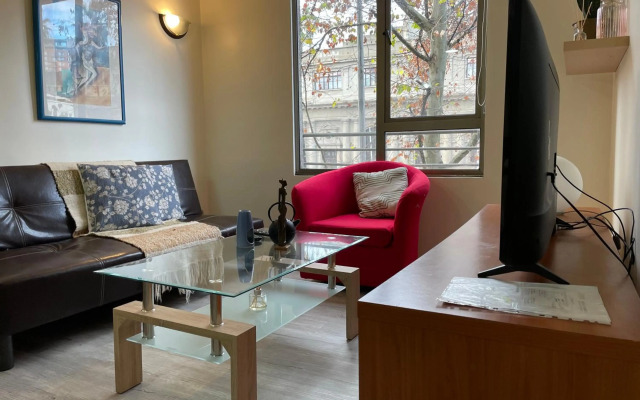 Santiago Lastarria Apartment