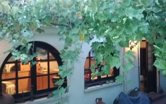 Orange Tree House