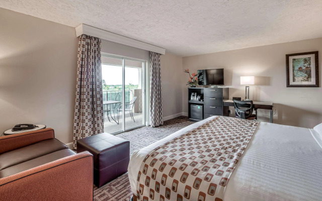 Inn of Naples, Tapestry Collection by Hilton