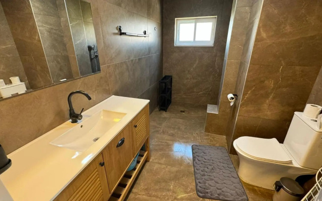 לוויס פלייס 5/2