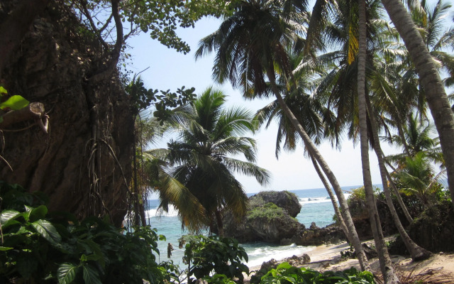 Hostel La Ballena Backpacker