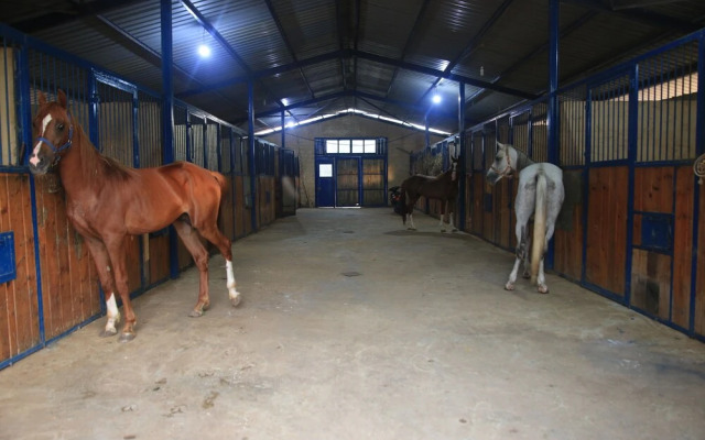 The Ranch - Lodge & Equestrian Center