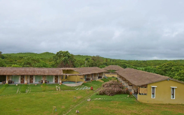 Asiatic Lion Lodge